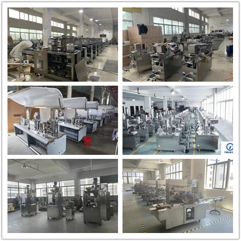 Automatic High Speed Tablet Capsule Pill Flat Plate Blister Packaging Making Machine Manufacturer Price