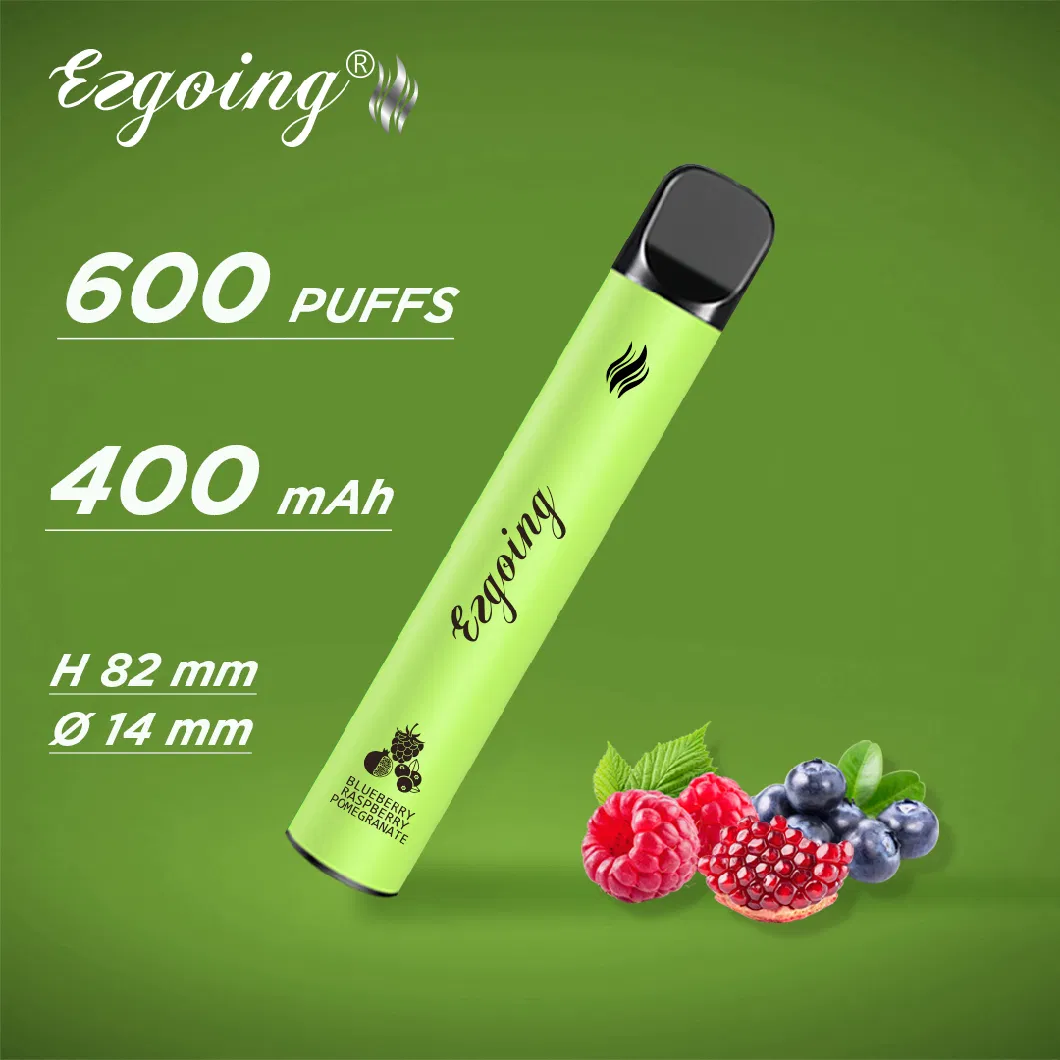 Factory China E Cigarette 1000 Puff Vapes Disposable Vaping Kit