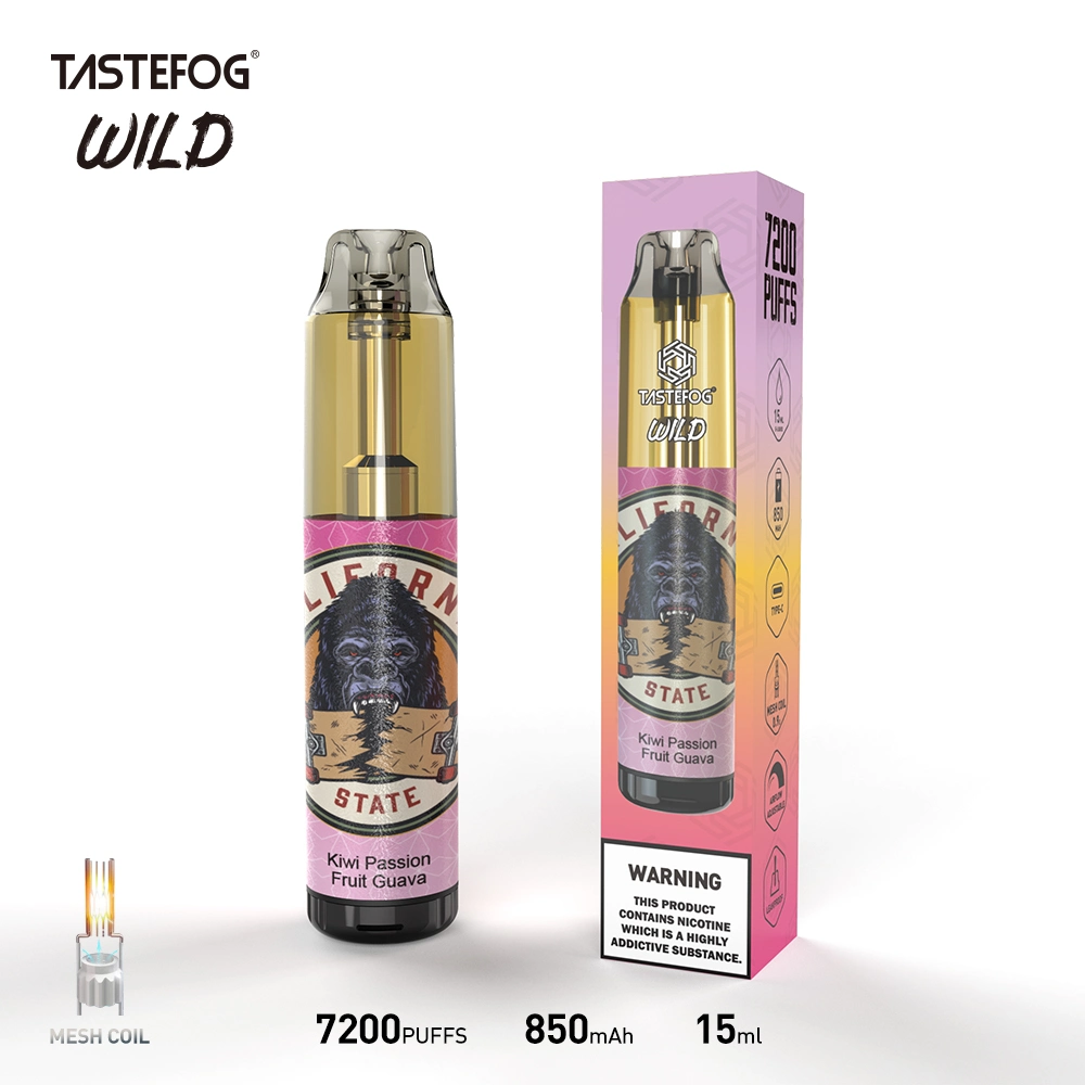 Original Tastefog Wholesale Disposable Vape OEM Randm Disposable Vape 7000 8000 Puff