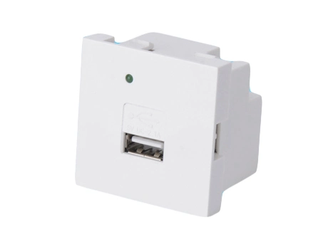 2.1A USB Charger for Phone and Pad etc.