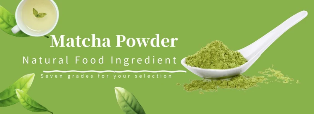 High Quality Wholesale EU Organic Matcha Green Tea Powder