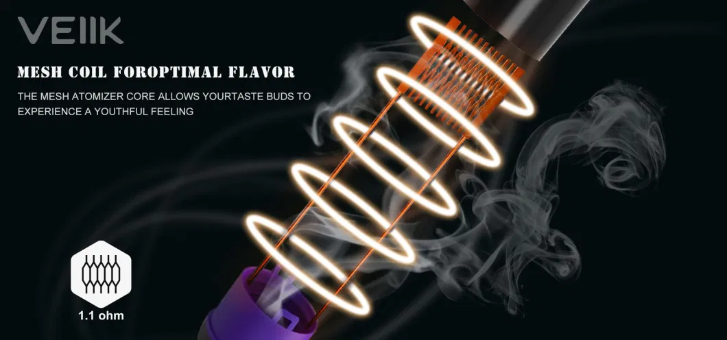 Wholesale Electronic Cigarettes Micko Q Twist-S New Product Vaporizer Rechargeable Disposable Vape