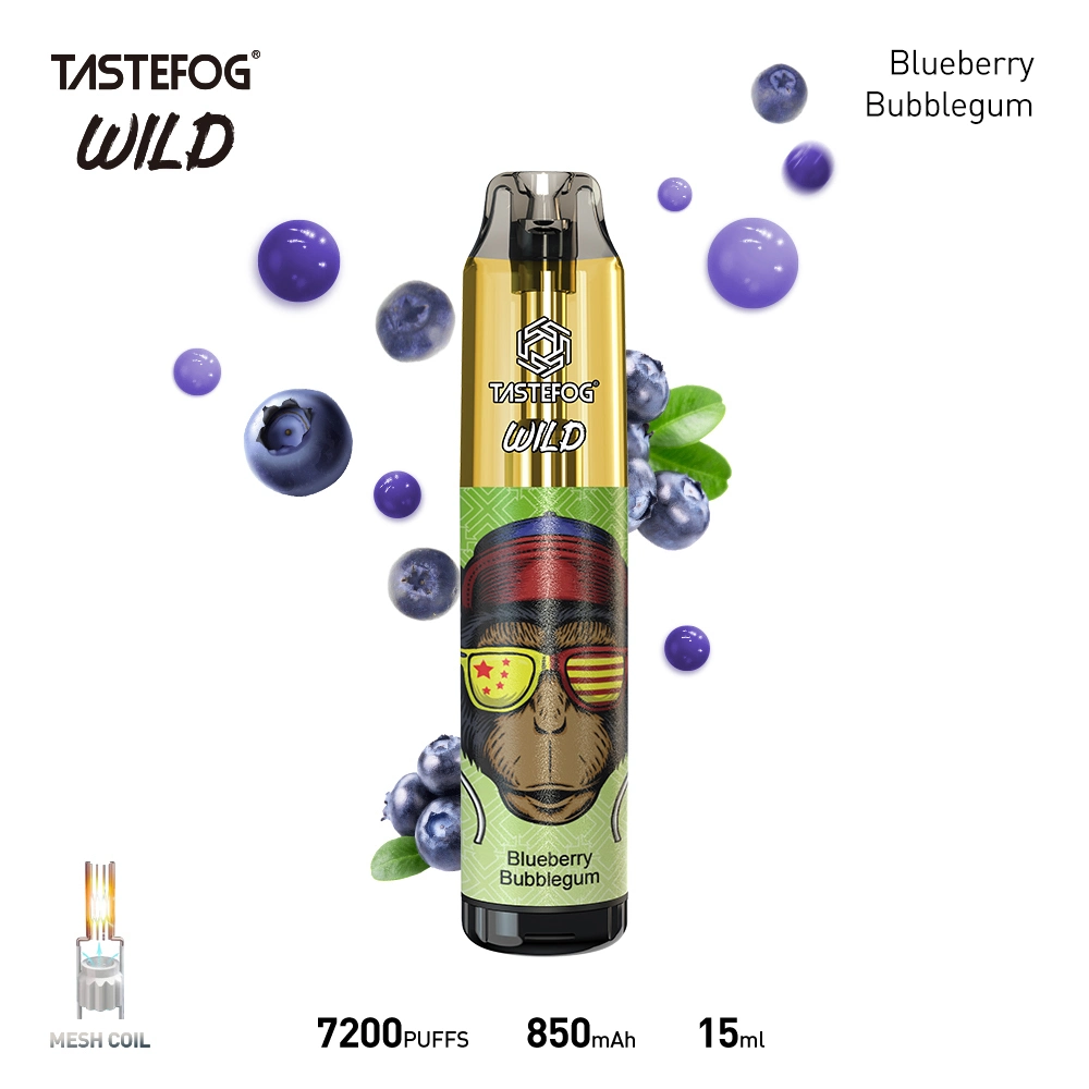 Original Tastefog Wholesale Disposable Vape OEM Randm Disposable Vape 7000 8000 Puff