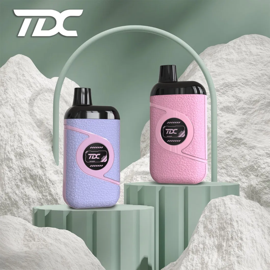 Tdc Most Popular Magic Disposable/Rechargeable Vape Pod Charging Type C Disposable 5500 Puffs 650 mAh 10ml Wholesale