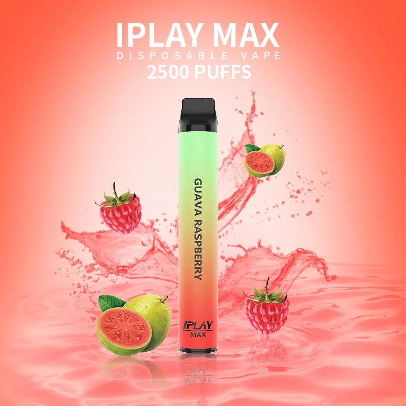 Big Vapor and Good Taste Iplay Max 2500 Puff Plus Disposable Vape