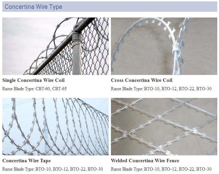 Bto-22 Galvanized Razor Wire Coils with Loops Dia 600 mm Used on Ships for Anti-Piracy