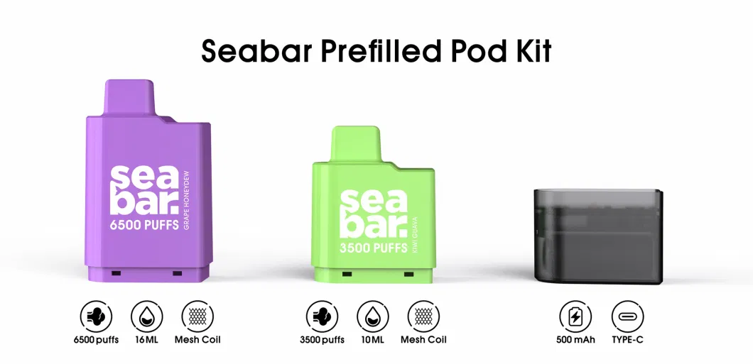 Seabar 6500 Puff Pod Shenzhen E Cigarette Wholesale Disposable Vape Rechargeable Vape Pen Pod System