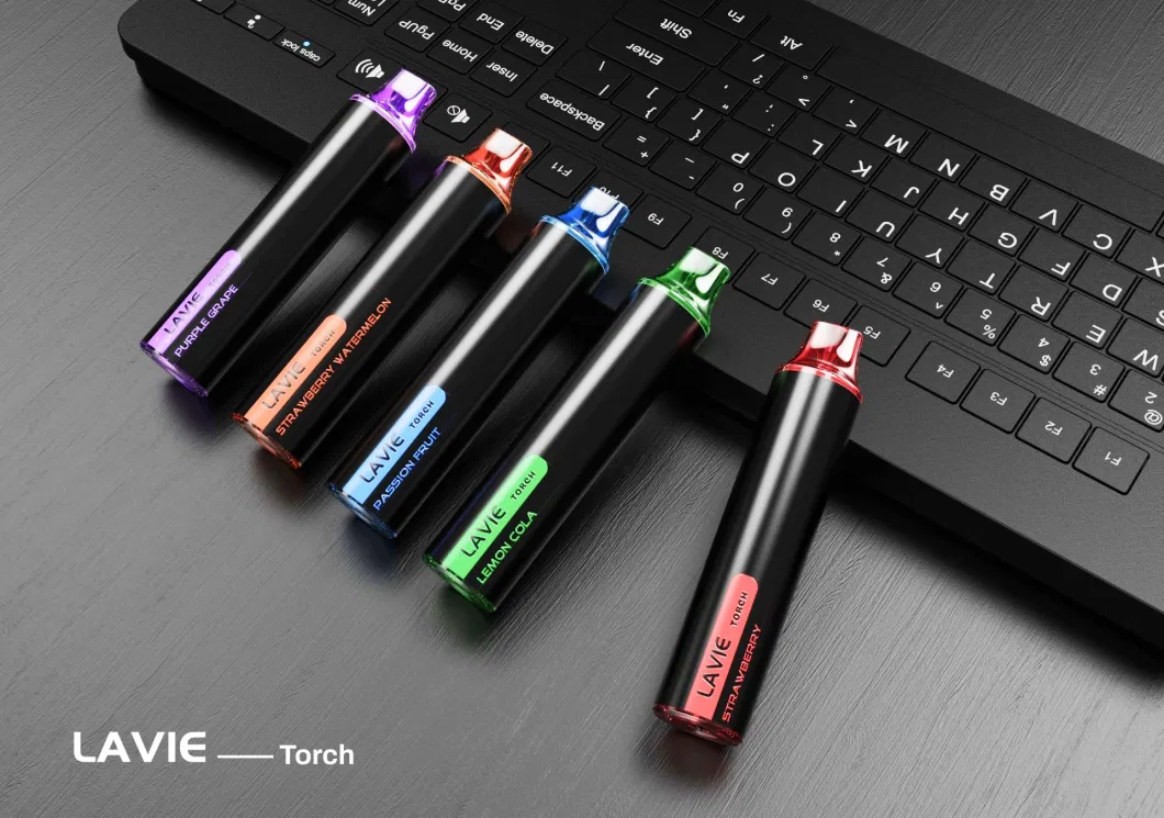 Lavie Torch Disposable Vape 6000puffs with 12 Flavors