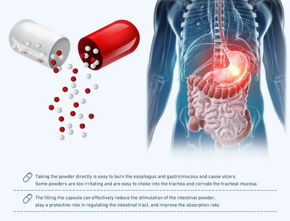 Transparent Customization Printing Various Colors Mixed All Size Empty Hard Gelatin Capsules