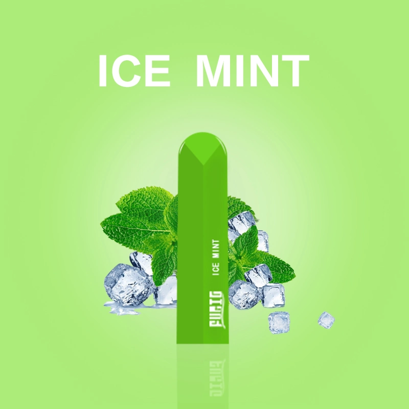 Fast Delivery Factory Price Newest Mint 800 Puffs Disposable Vape