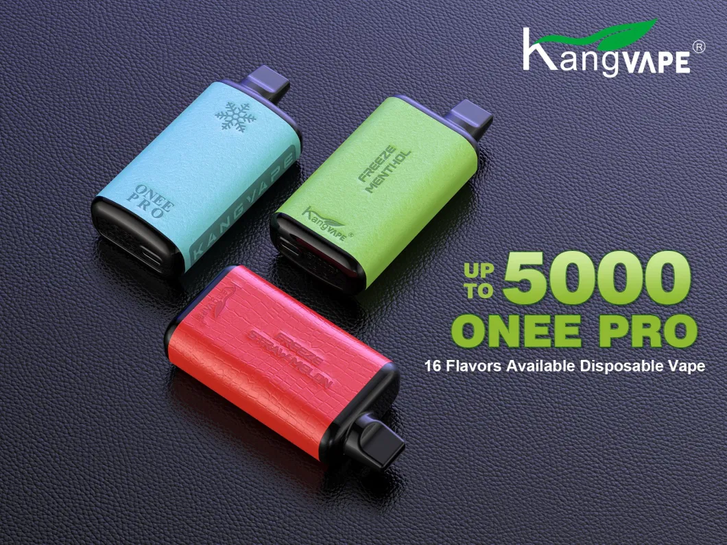 Leather Skin Edition Hot Selling Kangvape Onee PRO 5000 Puffs Menthol Disposable Vape