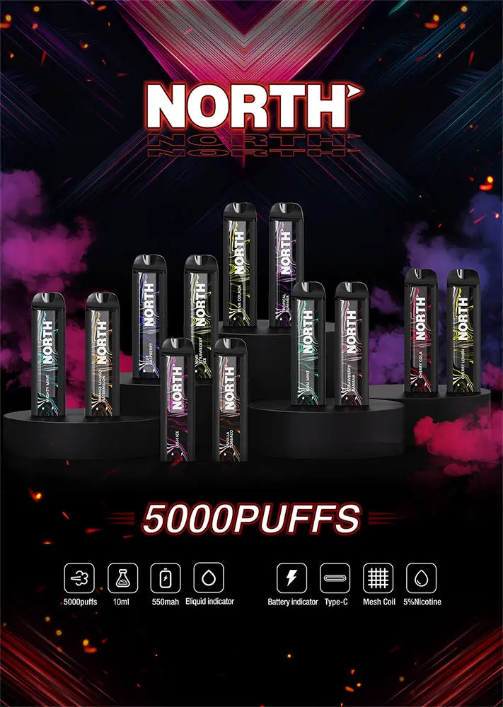 High Selling Electronic Cigarette North 5000 Puffs Disposable Pod E Cigarette Wholesale Vape Display 10000 Puffs Premium Mesh Coil