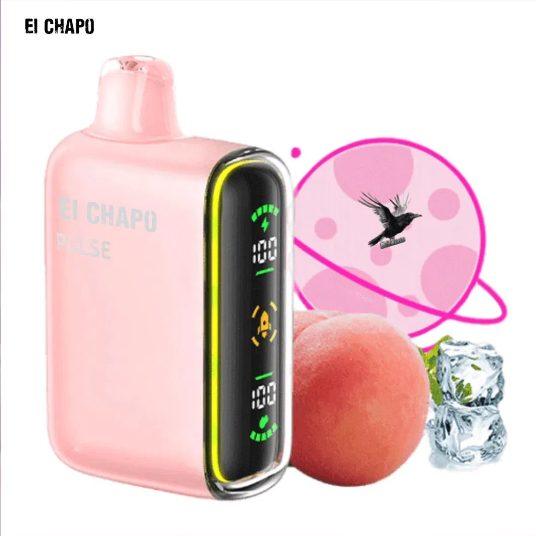 2024 New Factory Wholesale Cheap 15000 Puffs Rechargeable Disposable Vape with Screen E Electronic Cigarette