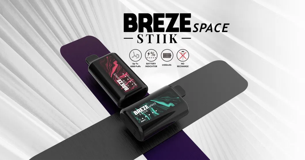 Factory Directly Sell Low MOQ 6000 Puffs Breze Smoke Disposable Vape 1500mAh Battery 13ml Nicotine Salut Juice E Cigarette