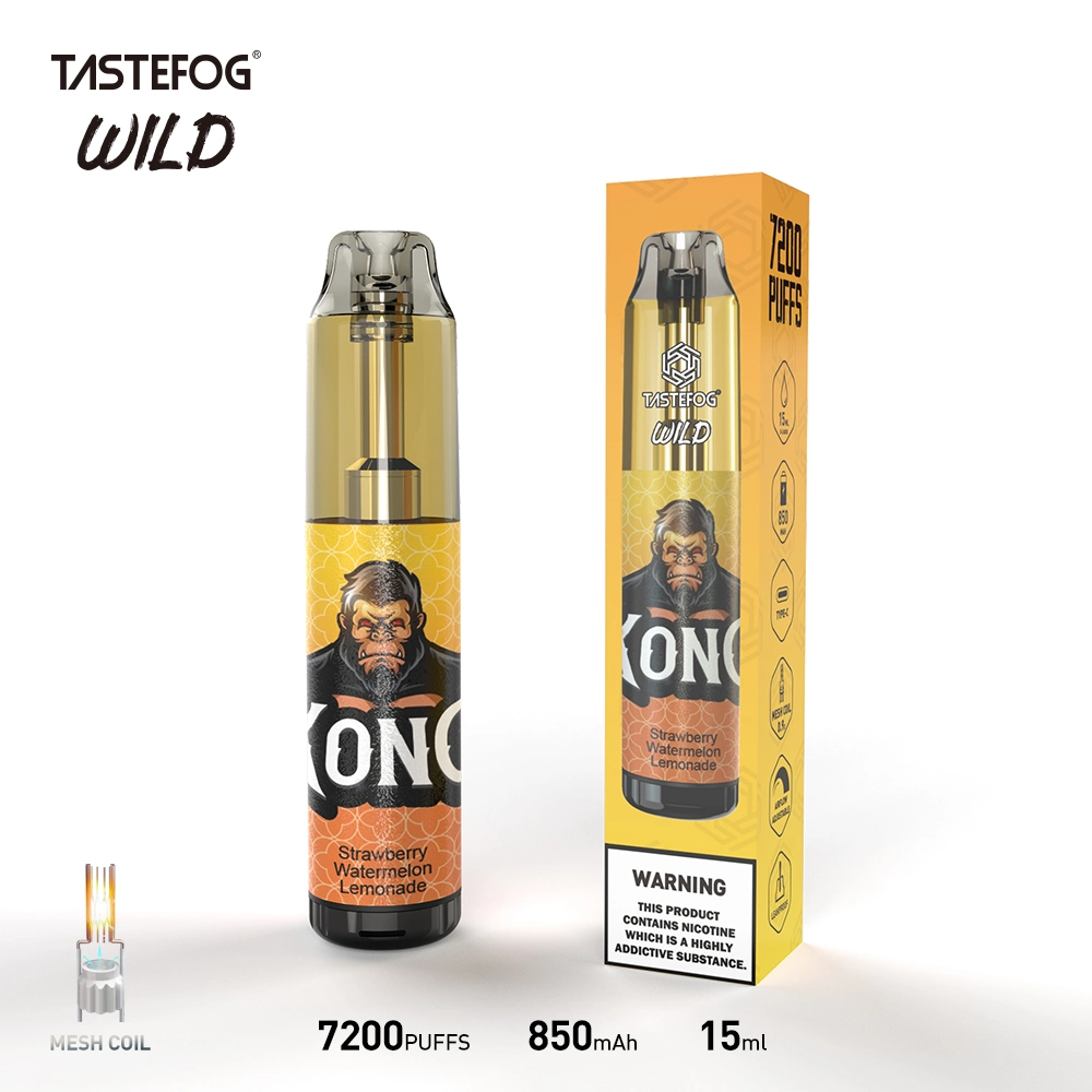 Original Tastefog Wholesale Disposable Vape OEM Randm Disposable Vape 7000 8000 Puff