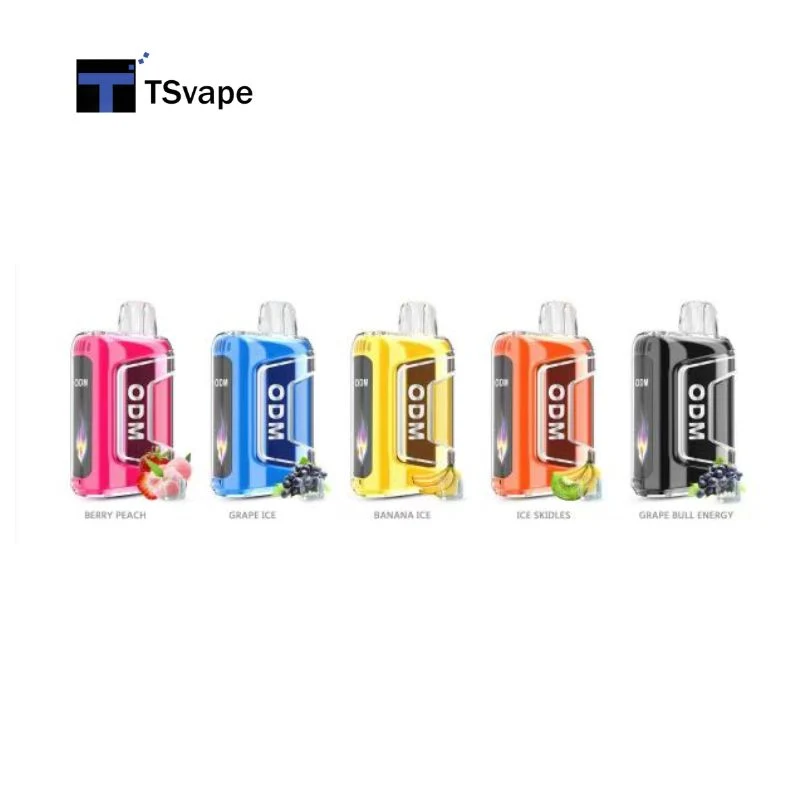 High Quality Factory Price Disposable Flavor Vape OEM Tn9000 Disposable Vape