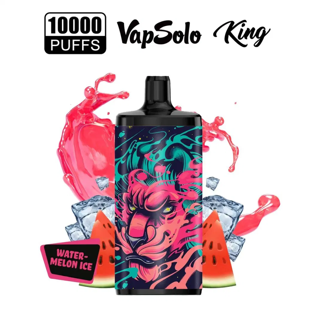 Shenzhen E Cigarette Vapsolo King 10000 10K Puffs Poco E Cig Wholesale Vape Luxtrend Disposable Vape
