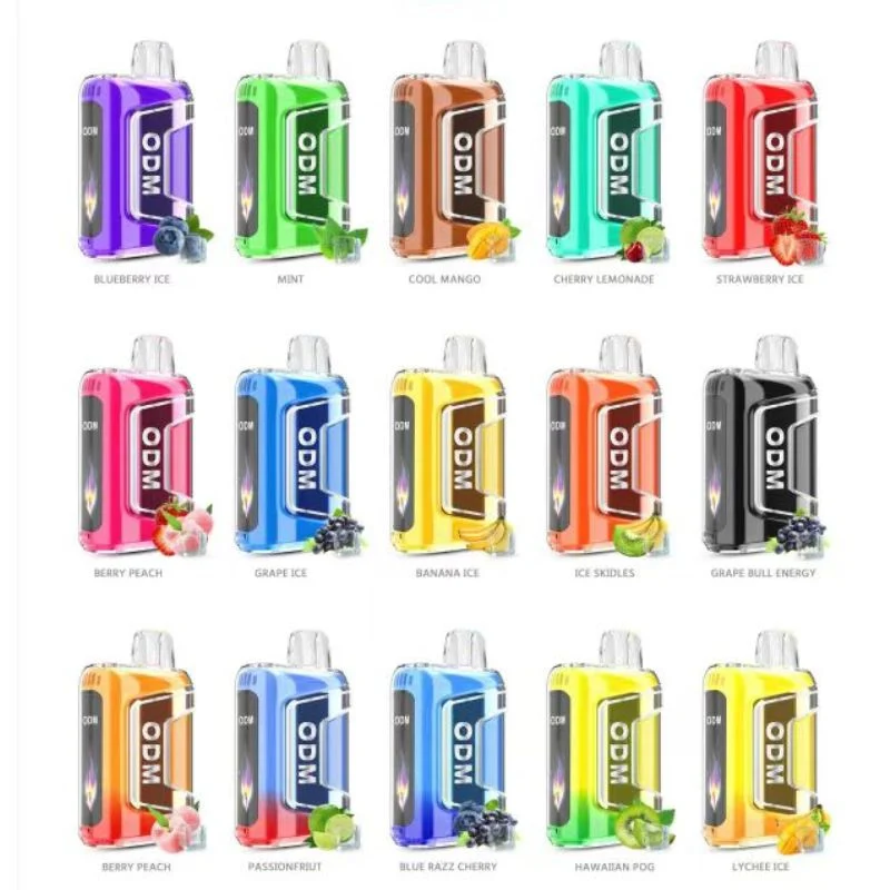 High Quality Factory Price Disposable Flavor Vape OEM Tn9000 Disposable Vape