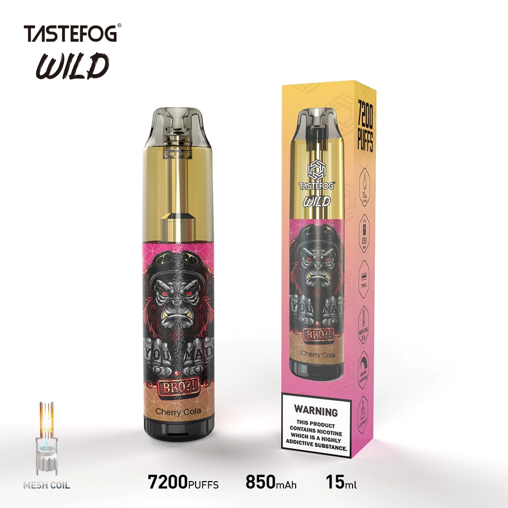 Original Tastefog Wholesale Disposable Vape OEM Randm Disposable Vape 7000 8000 Puff