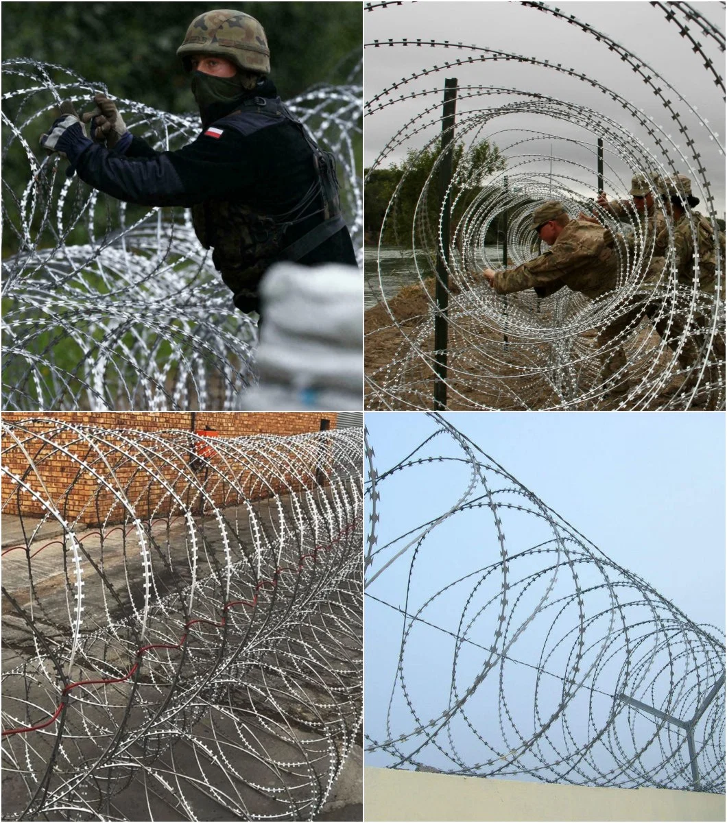 Factory Direct Double Coil Concertina Barbed Wire Concertina Razor Coil for Military Field