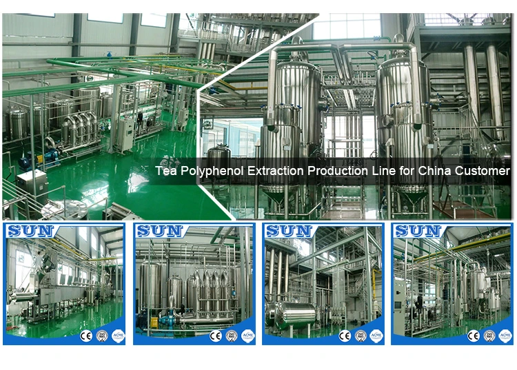 High Effect Full-Automatic Vacuum Evaporator Double Effect Fallling Film Evaporator for Animal Milk