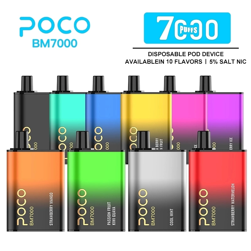 USA/EU Warehouse Randm 7K Puff Bar Poco Bm7000puffs Disposable Vape Type-C Airflow Wholesale Vape Pen Mesh Coil 17ml Juice with 10 Flavors