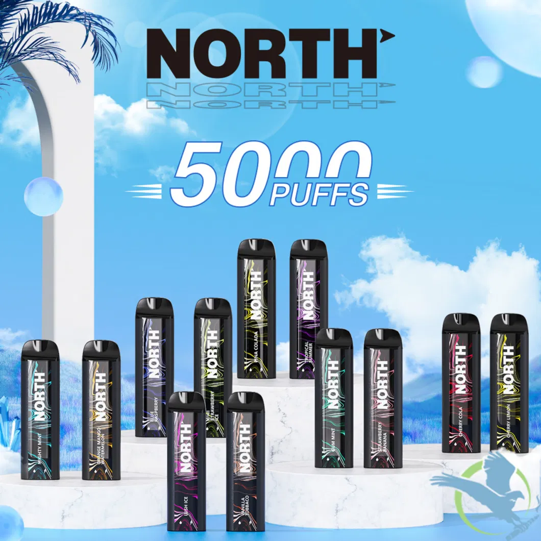 High Selling Electronic Cigarette North 5000 Puffs Disposable Pod E Cigarette Wholesale Vape Display 10000 Puffs Premium Mesh Coil