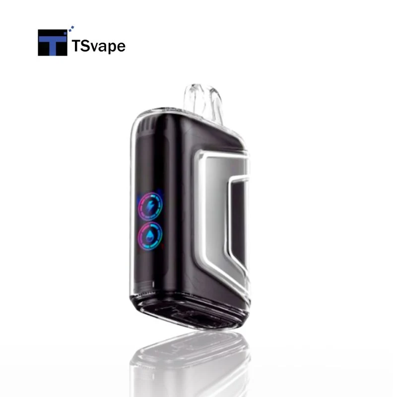 High Quality Factory Price Disposable Flavor Vape OEM Tn9000 Disposable Vape