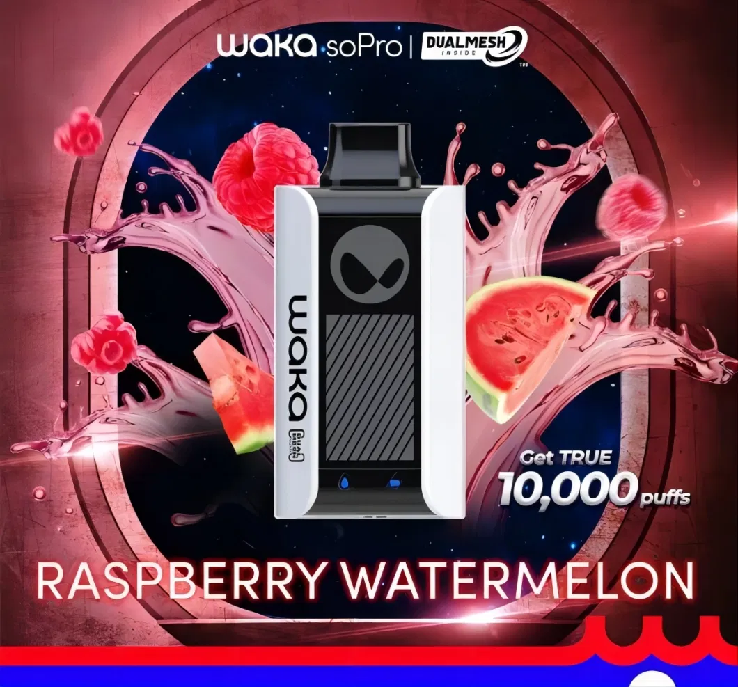 Waka Sopro PA 10000 Puffs Best Price Disposable Rechargeable Battery Electronic Cigarette Portable Vape
