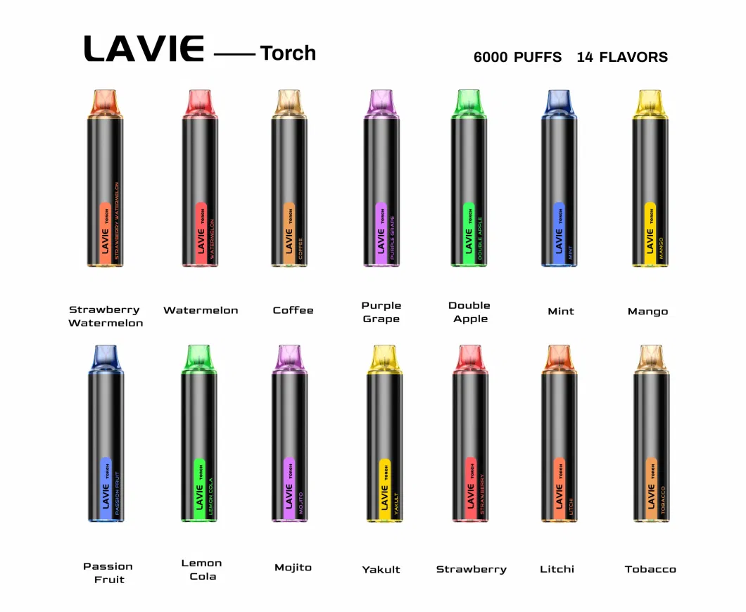 6000 Puffs Pen Style Disposable Vape Lavie Torch