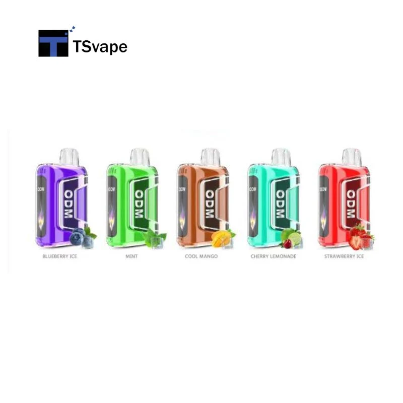 High Quality Factory Price Disposable Flavor Vape OEM Tn9000 Disposable Vape