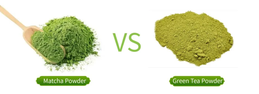 Halal Certificate EU Organic Matcha Green Tea Powder For Weight Loss