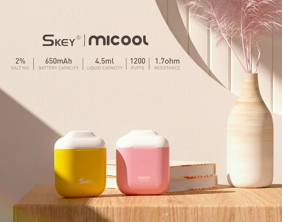 Skey Micool 600puff Disposable Electronic 0mg 20mg Cigarette Vape Logo Customized