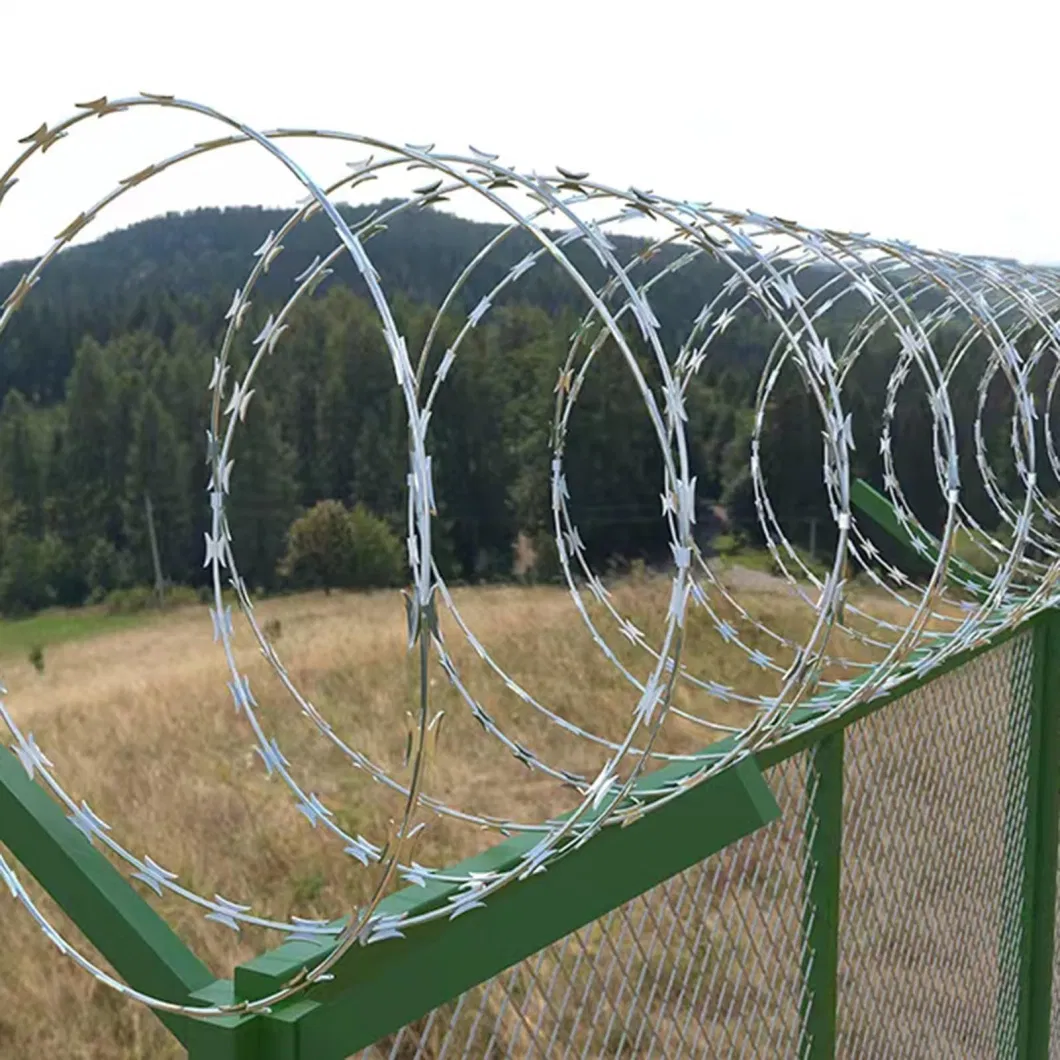 Yeeda Wire Mesh Security Fence China Manufacturers 450mm Coil Diameter Galvanized Barbed Wire Coil Used for Prison Fences