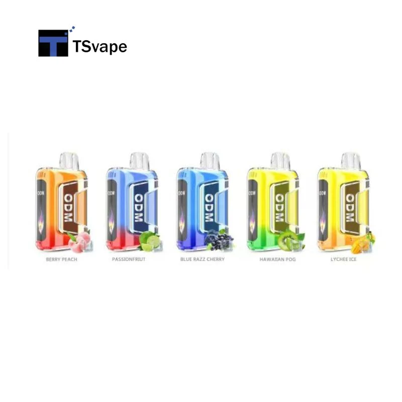 High Quality Factory Price Disposable Flavor Vape OEM Tn9000 Disposable Vape