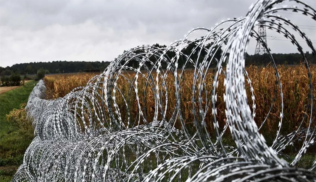 Yeeda Wire Mesh Security Fence China Manufacturers 450mm Coil Diameter Galvanized Barbed Wire Coil Used for Prison Fences