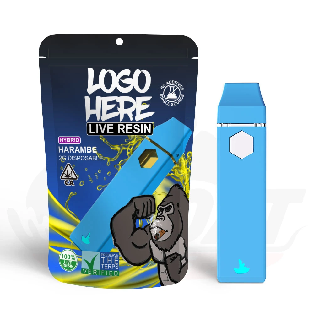 Customize Empty Diposable Vape Packman Pack Man 1st Gen Packaging 2ml 2.0ml 2000mg 2g 2 Grams Thick Oil Live Resin Ceramic Coil Smoking Disposable