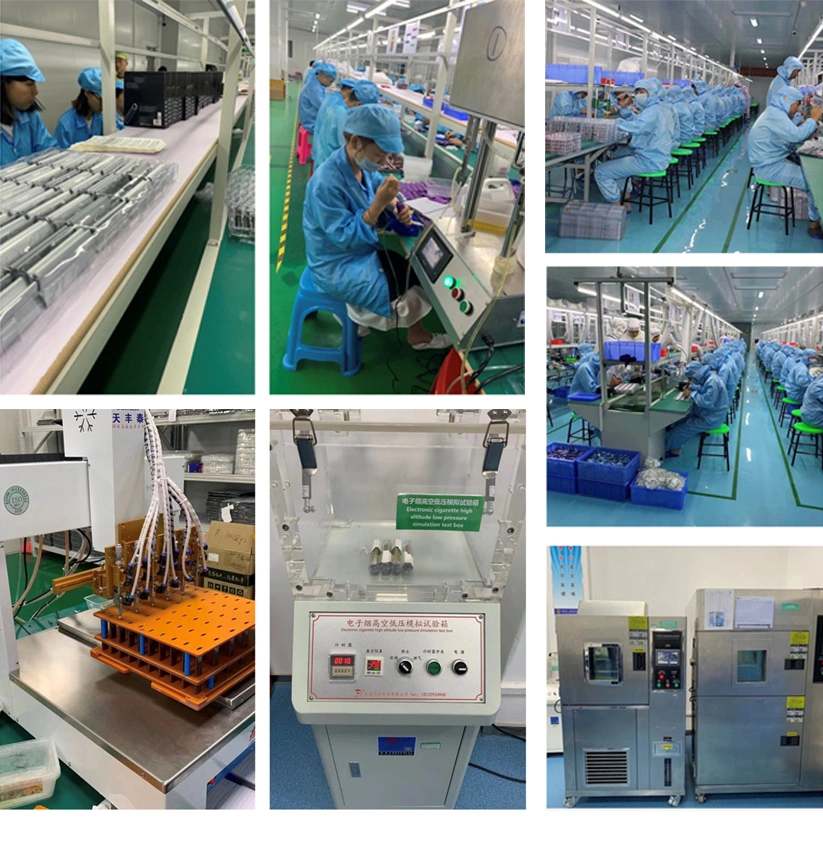 OEM/ODM 9000 10000 12000 Puffs Custom Vaporizer Pen Wholesale Disposable E-Cigarette Electric Cigarette Vape Manufacture Factory Govot Turbo 8000 Puffs