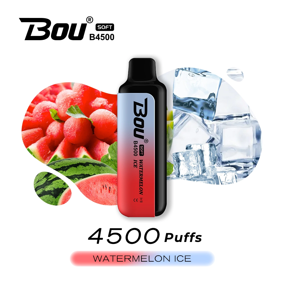 Hot Selling Electronic Cigarette 4500 Puffs Juice Fruit Flavor Wholesale Disposable Vape