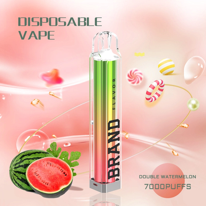 China Wholesale OEM Tpd Ecid E-Cigarette 2ml 600 800 Puffs Fremelx Vaper Empty Pen Style Crystal Disposable Vape with LED Flashlight in Europe Spain UK