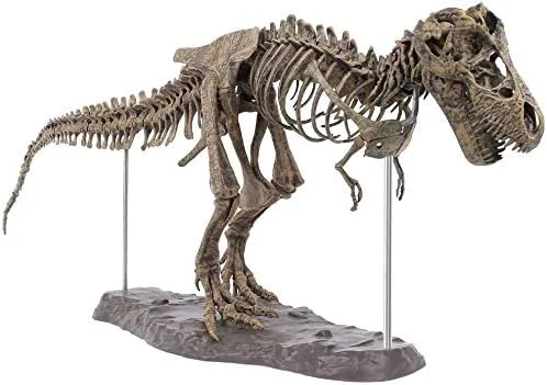 Dinosaur Skull Custom Assembled Toys Figures Factory PVC Collection Doll Plastic Toys