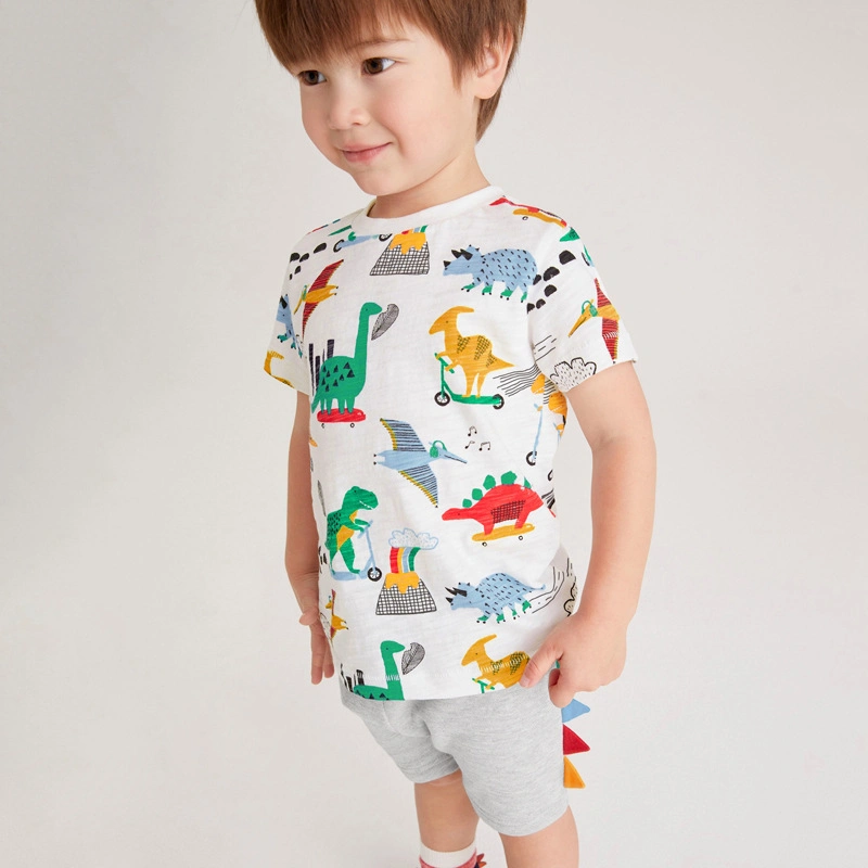 a Boy in Hot Weather Wears a Sweatshirt Suit with a Dinosaur Design T Shirt Kids Boy Clothes Sets Babies Full Set Clothes