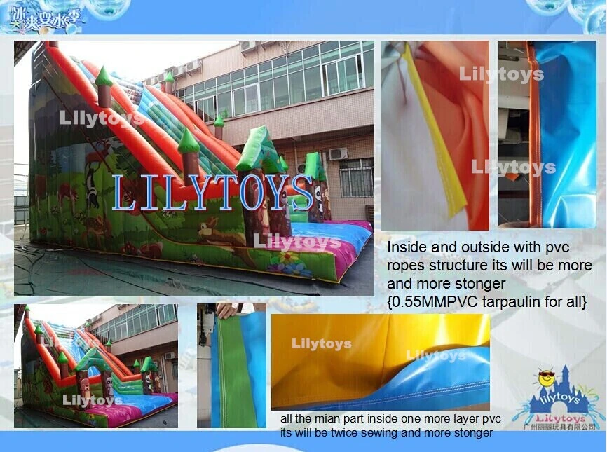 Genuine Inflatable Dinosaur Theme Water Park, Ce Amusing Kids Playground