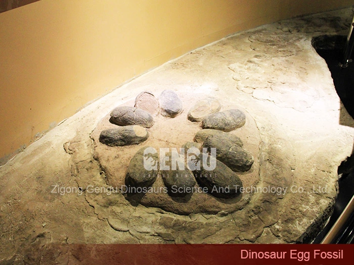 Dinosaur Egg Fossil Dinosaur Fossil Molds Dinosaur Fossil Replica