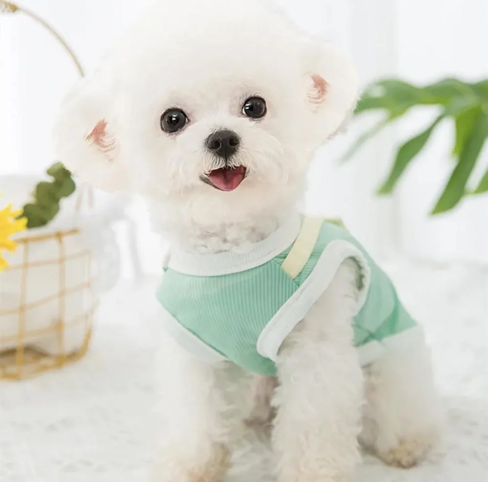 Dinosaur Dog Clothes Breathable Dog Vest Clothes Cartoon Pet Clothes Summer