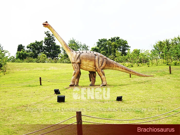 Dinosaur Manufacturer Life-Size Brachiosaurus Realistic Robotic Dinosaur