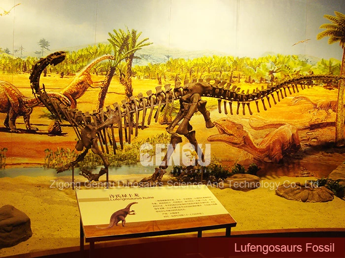 Dinosaur Fossil Molds Giant Dinosaur Fossil Lufengosaurus Fossil