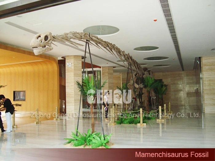Replica Dinosaur Fossils Dinosaur Vertebrae for Sale Mamenchisaurus Fossil