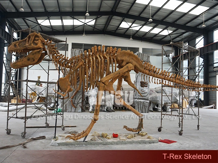 Life Size Dinosaur Skeleton Complete Dinosaur Fossils T-Rex Skeleton