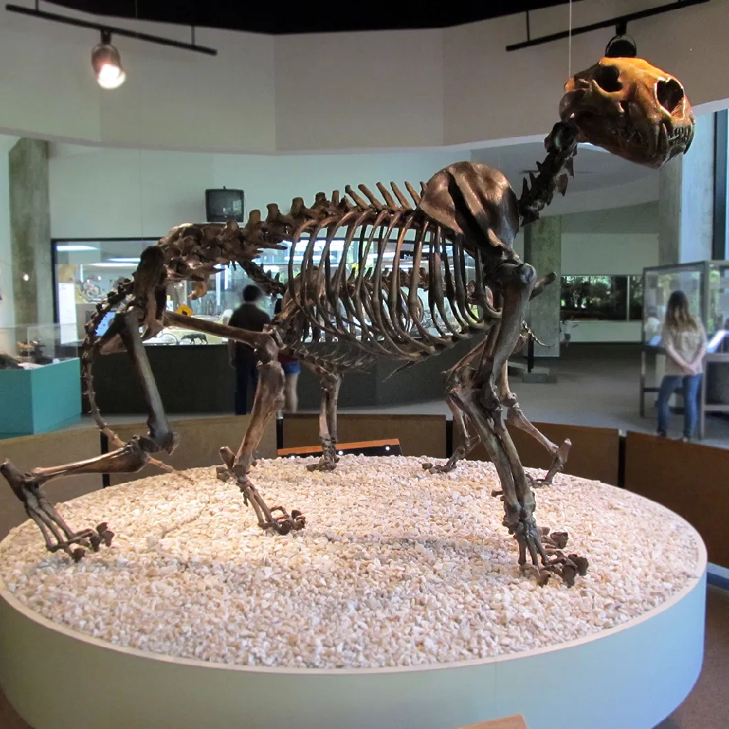 Large Bronze Extinct Animal Dinosaur Skeleton Interior Decoration Statue